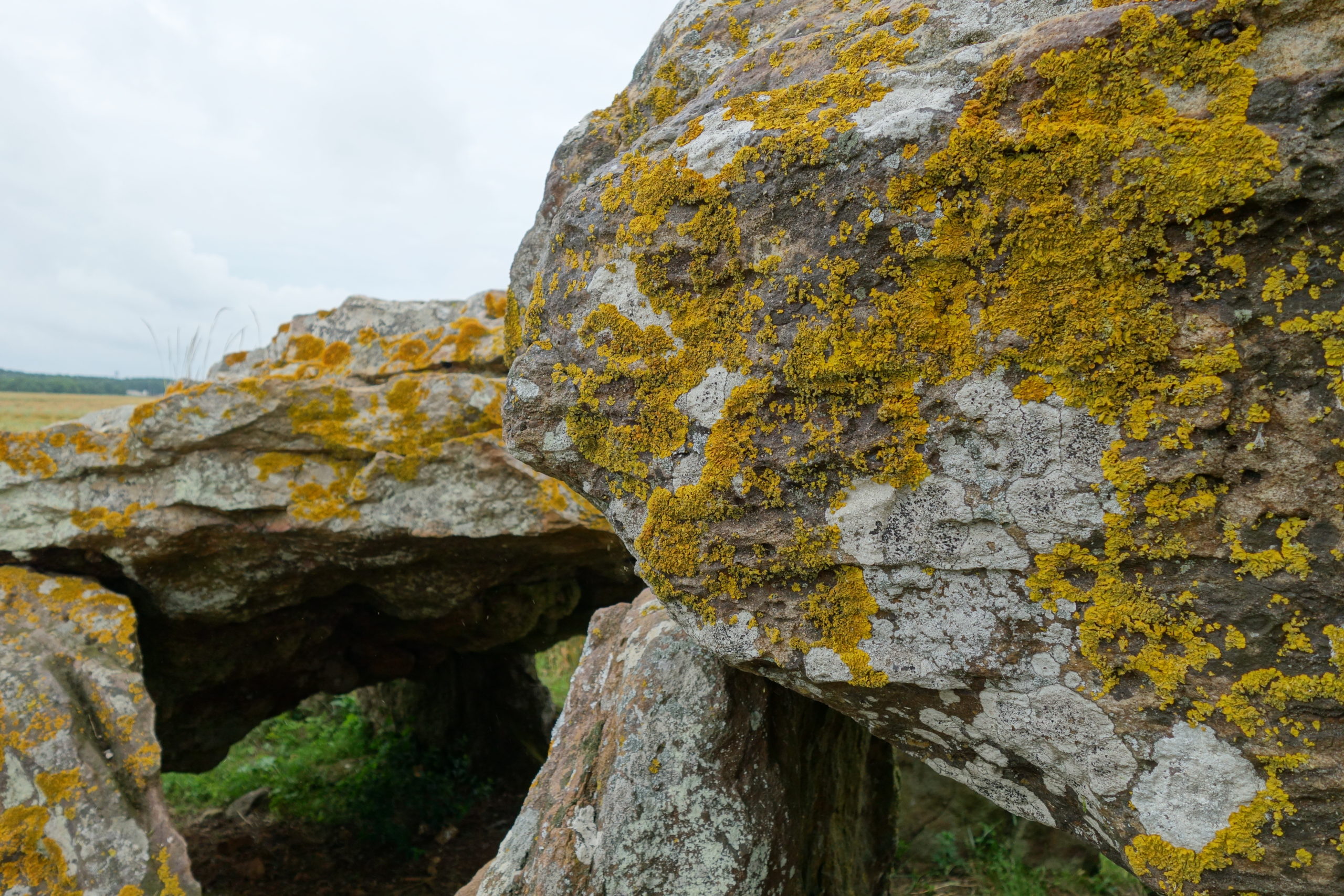 Le mégalithisme en Europe occidentale émergence et complexité du